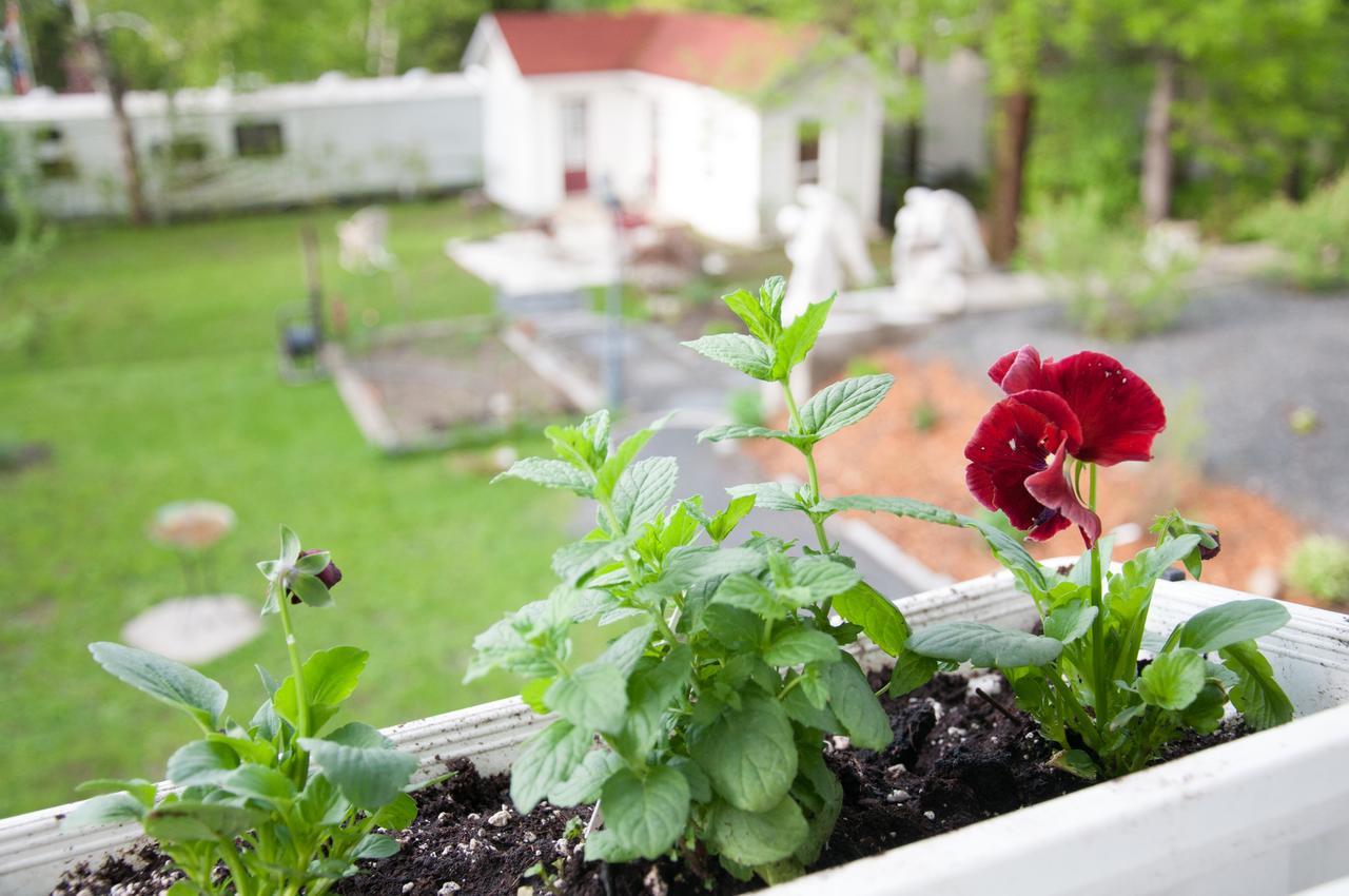 Gite Grand Moment Bed & Breakfast Cabano Eksteriør bilde